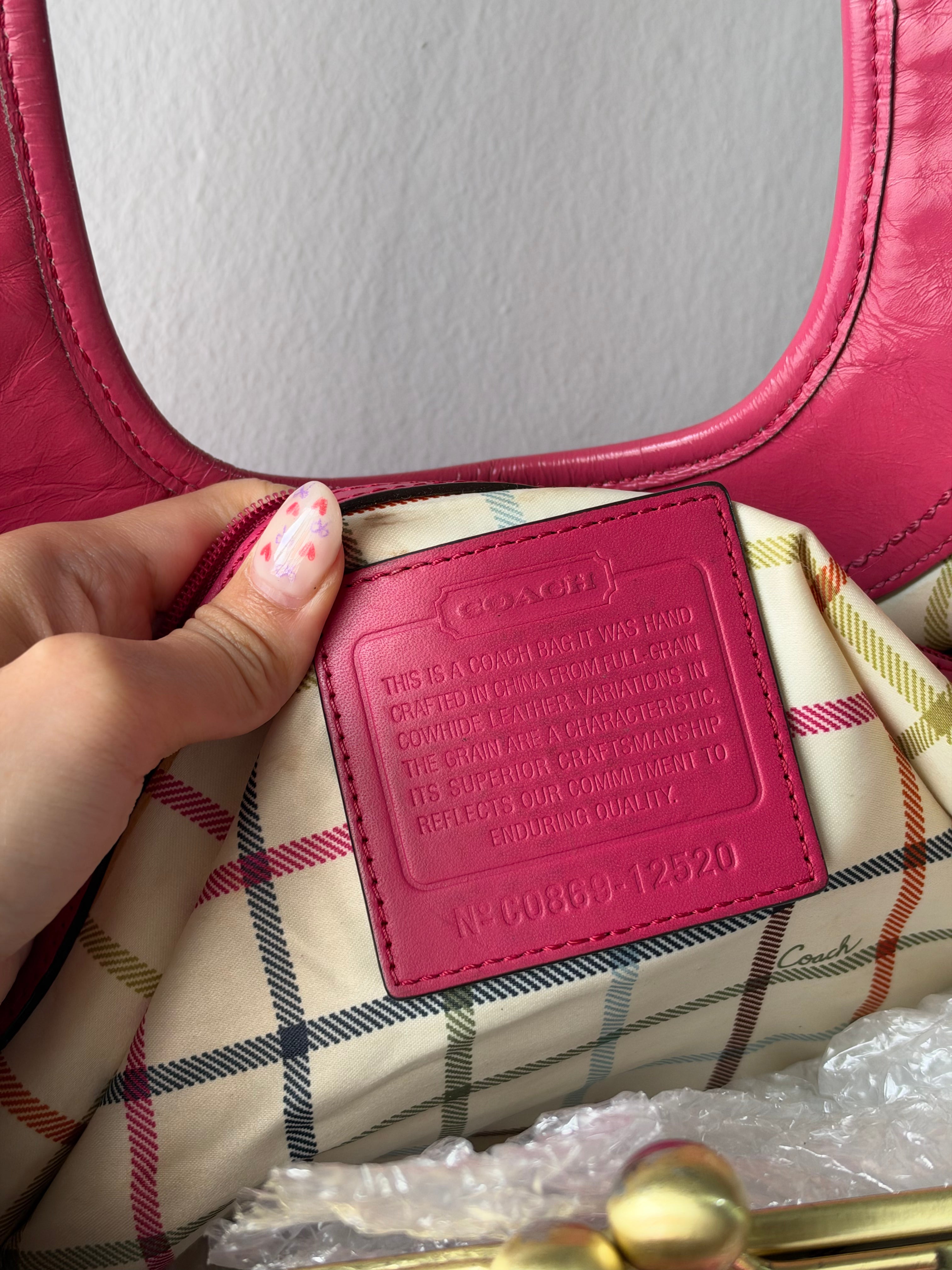 Coach Ergo Pleated Framed Satchel