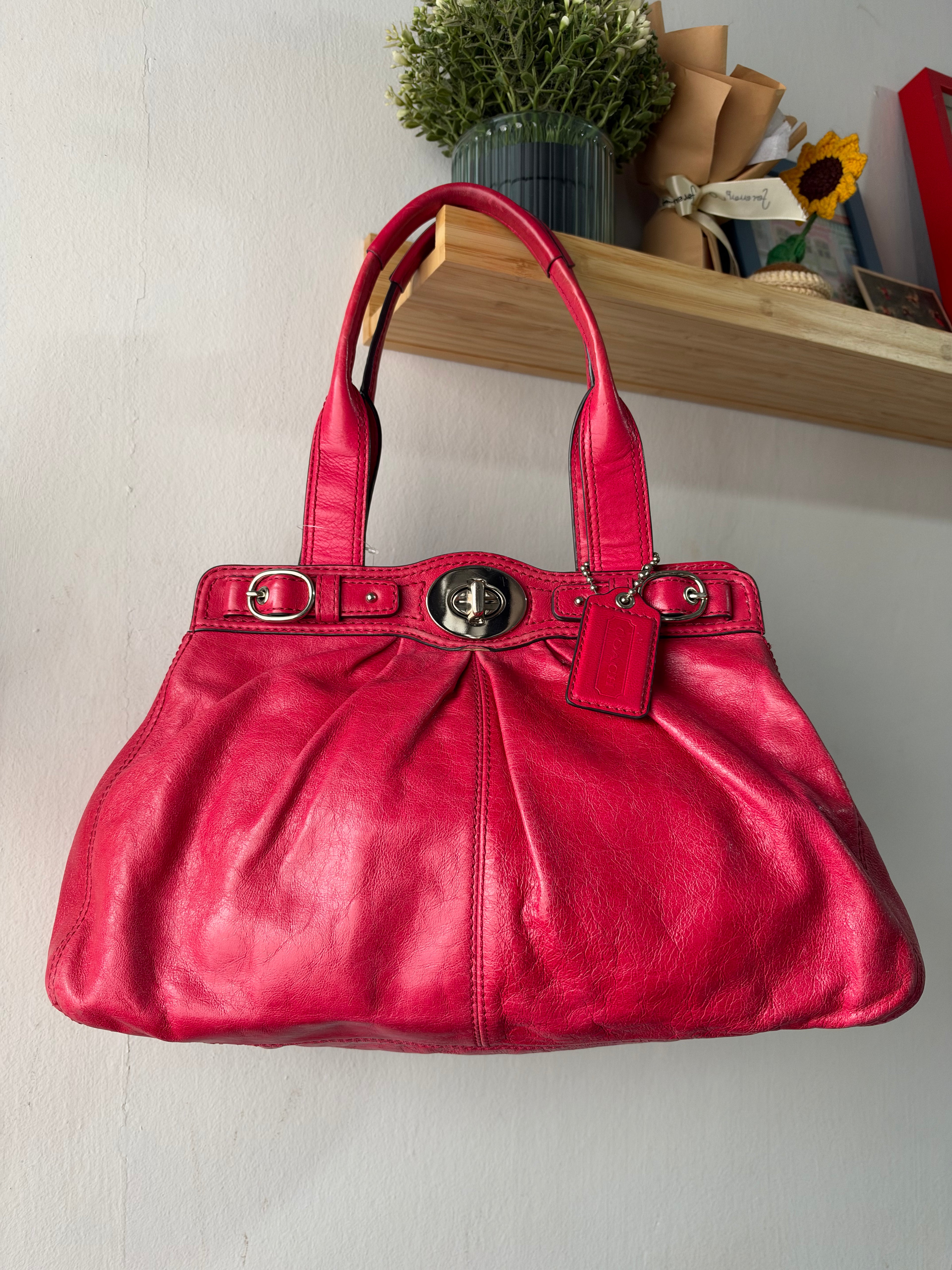 Coach Garnet Pleated Carryall