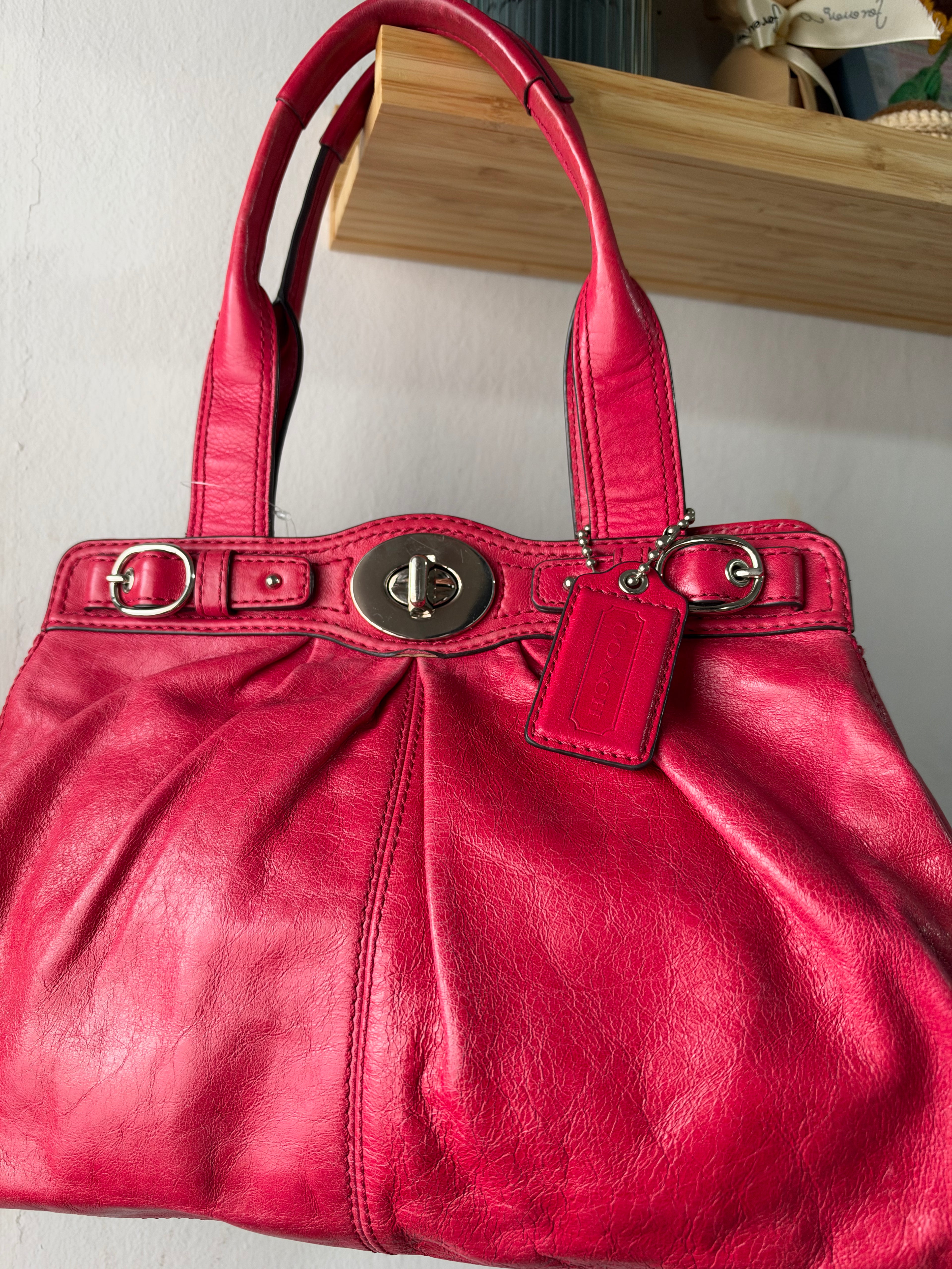 Coach Garnet Pleated Carryall