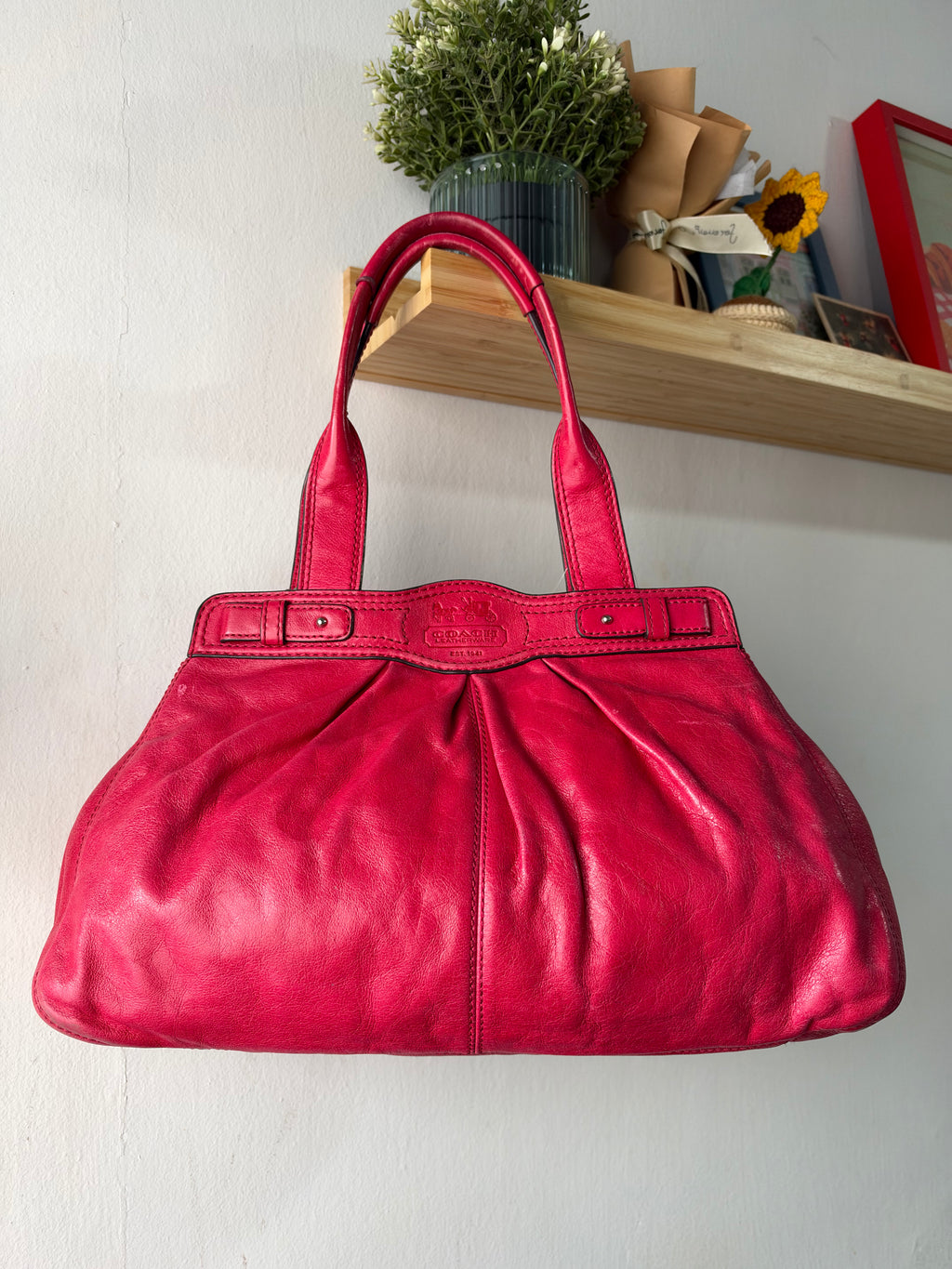 Coach Garnet Pleated Carryall