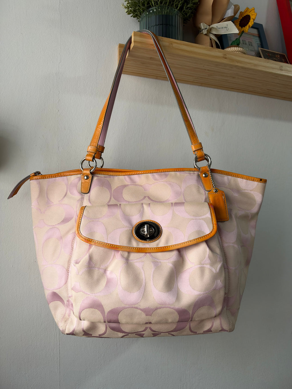 Coach Signature Leah Tote