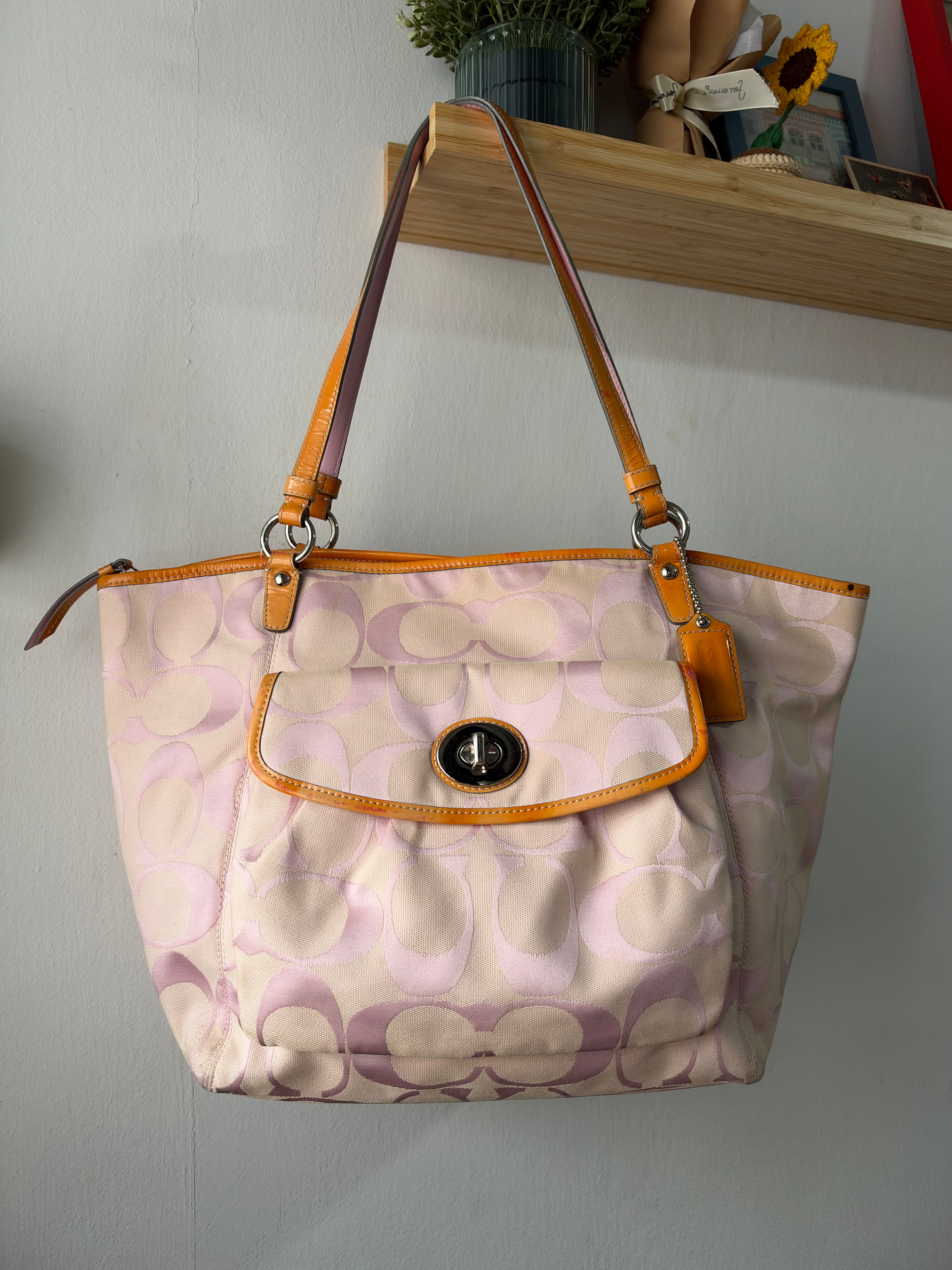 Coach Signature Leah Tote