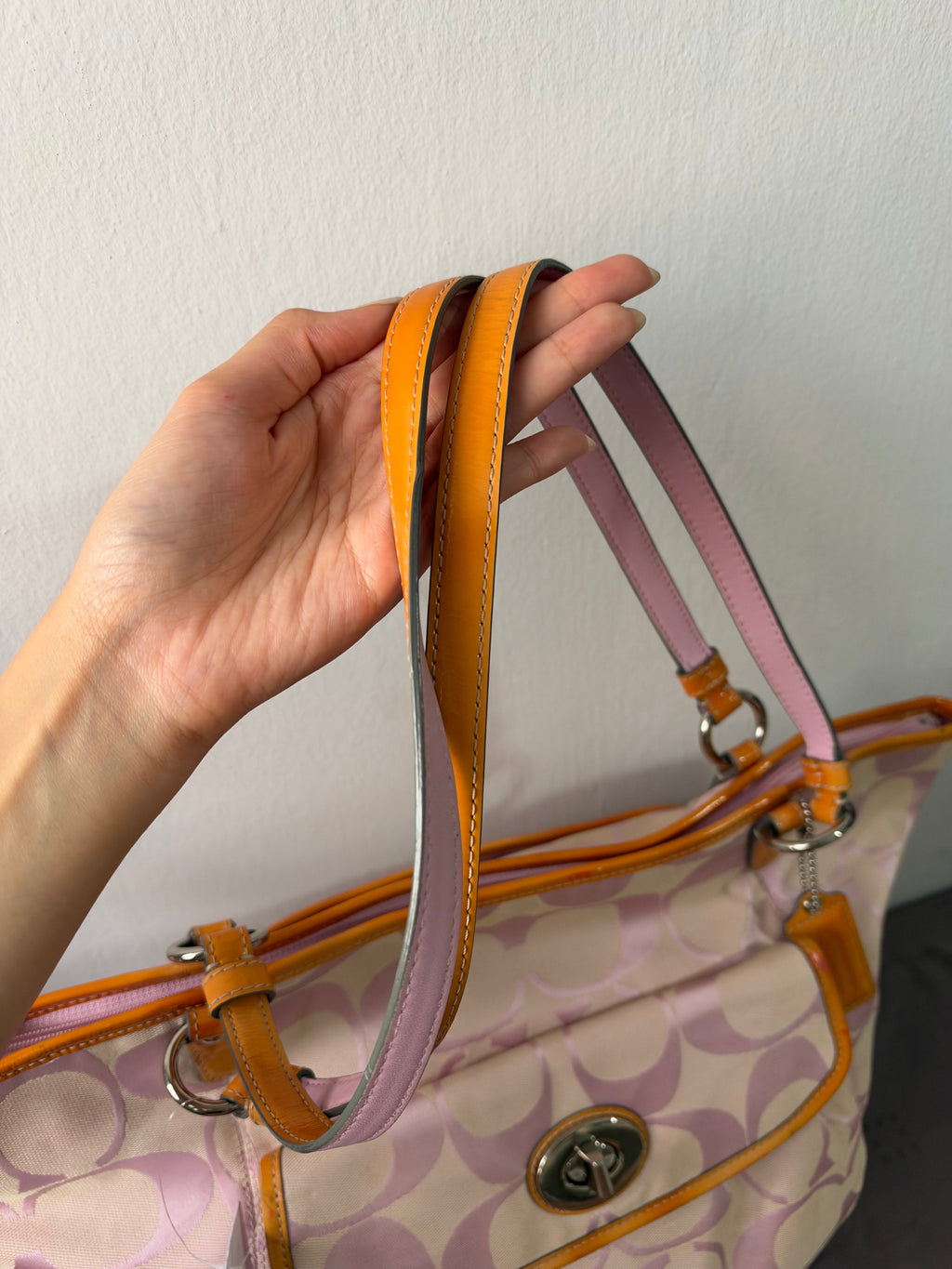 Coach Signature Leah Tote