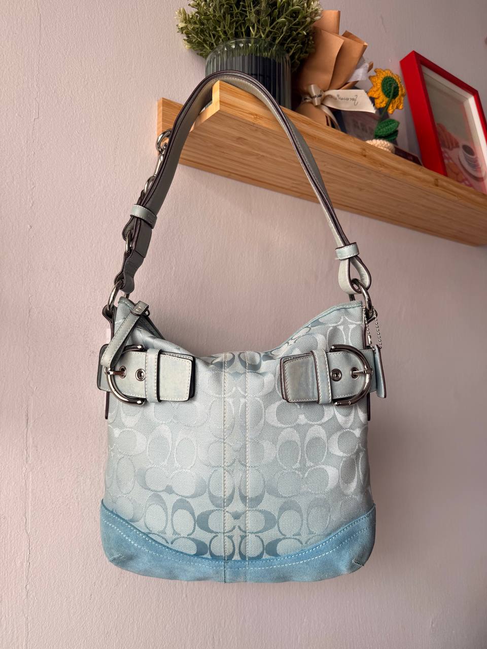 Blue coach sling