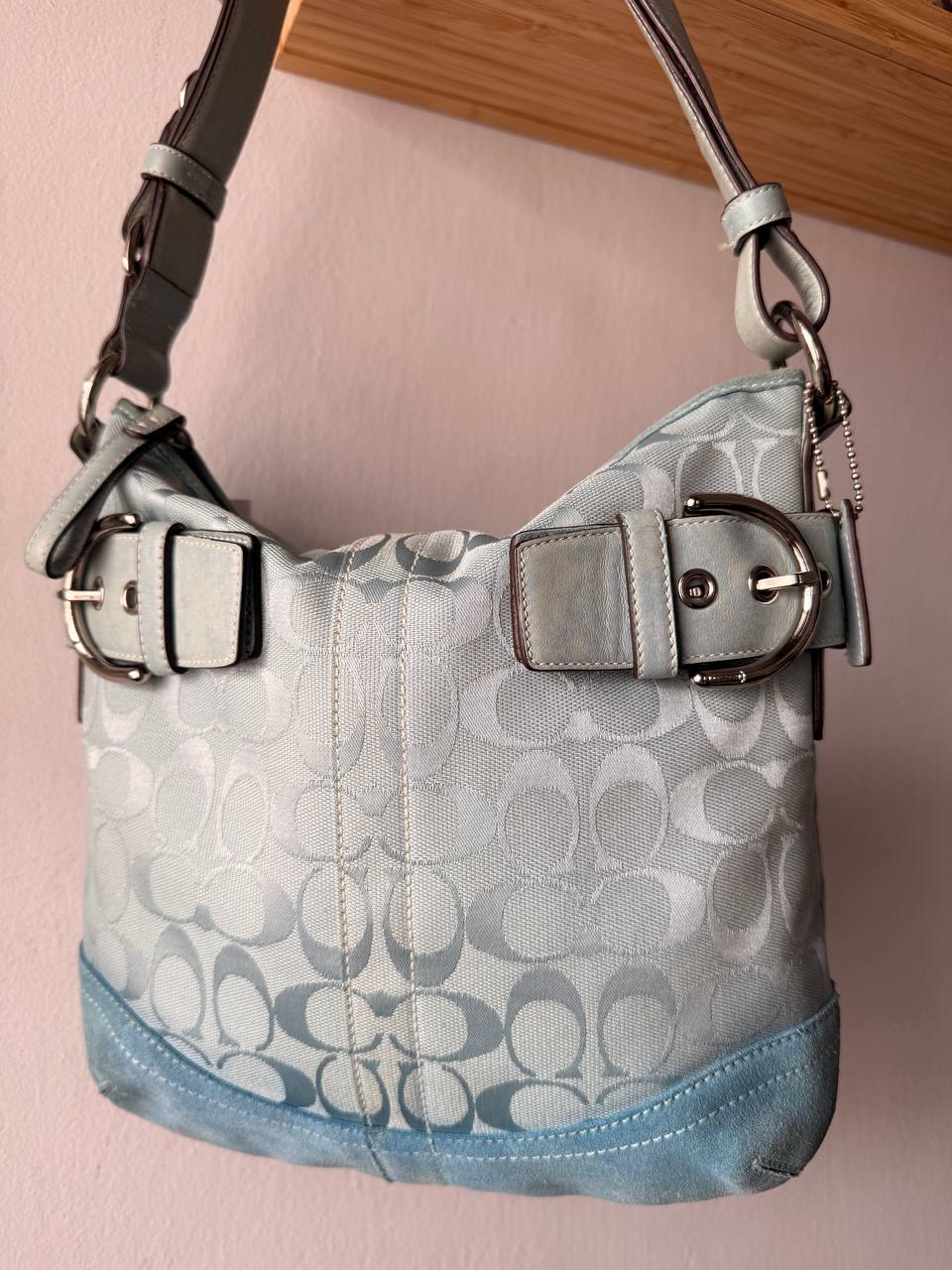 Blue coach sling